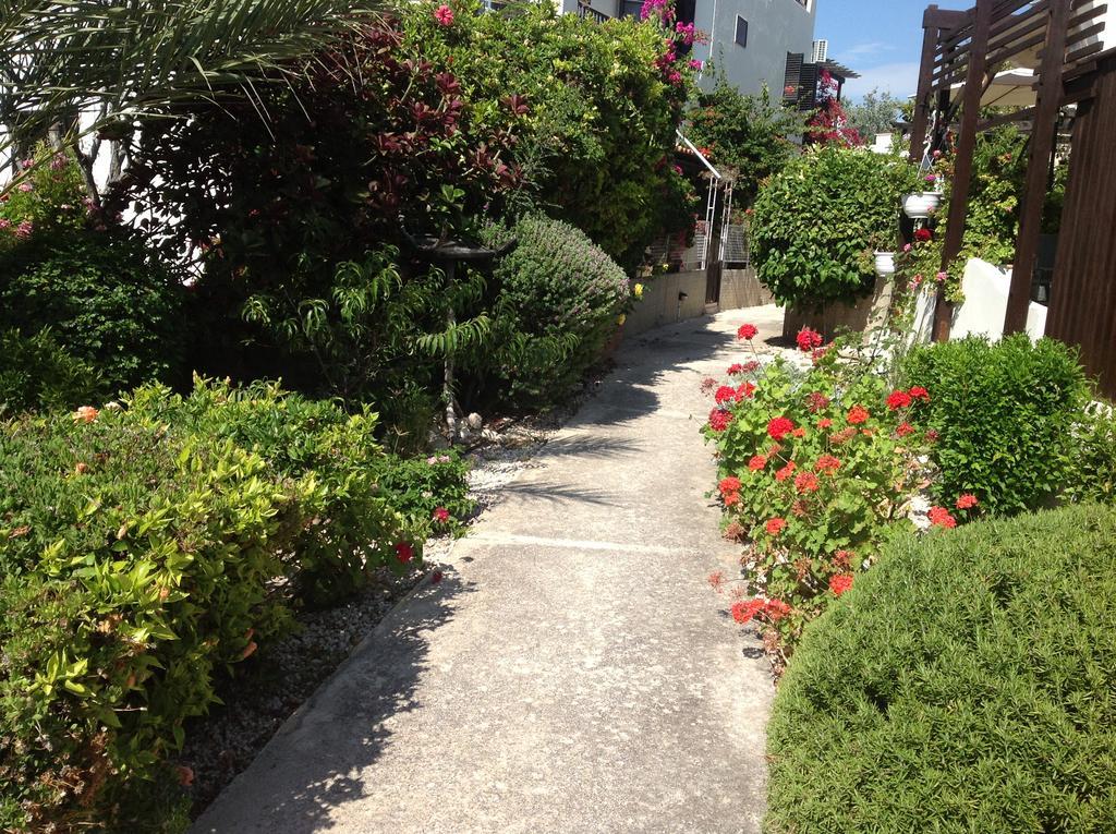 Villa Paphos Townhouse Exterior foto